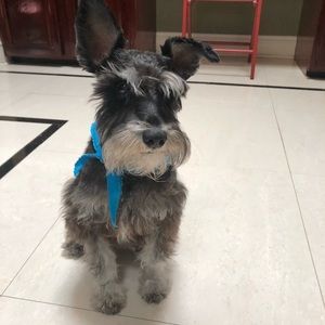 Meet your Posher, Sheri